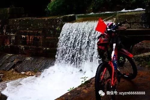 燃烧吧大脑免广告最新版