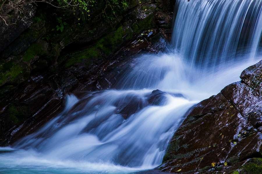 沪江开心词场