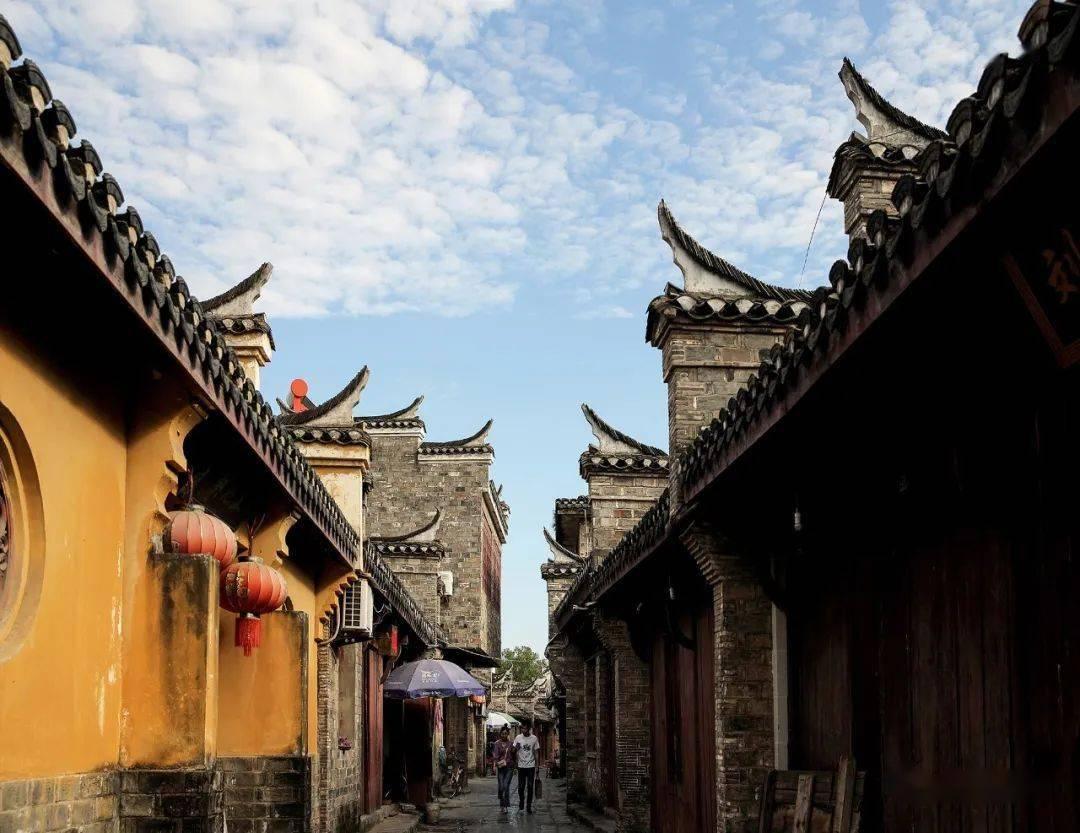 机智问答网页-解答疑惑,聪明答案【执业药师法规教材电子版】