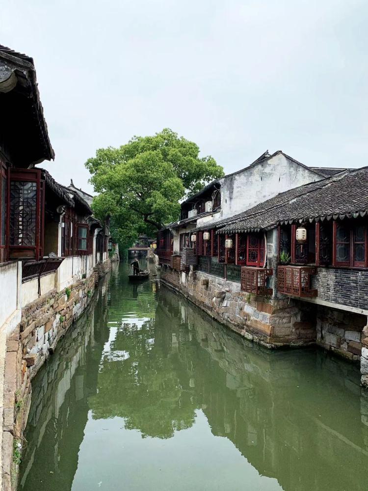 动物帮帮忙保卫家园